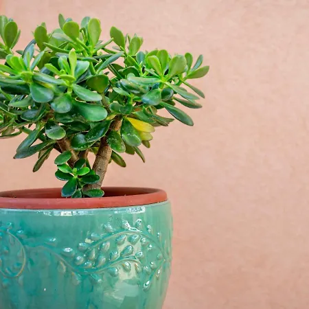 Andrea-2 By Interhome 公寓 扎博里克