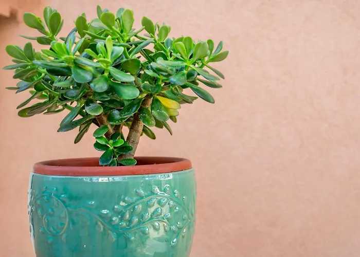 Andrea-2 By Interhome 公寓 扎博里克